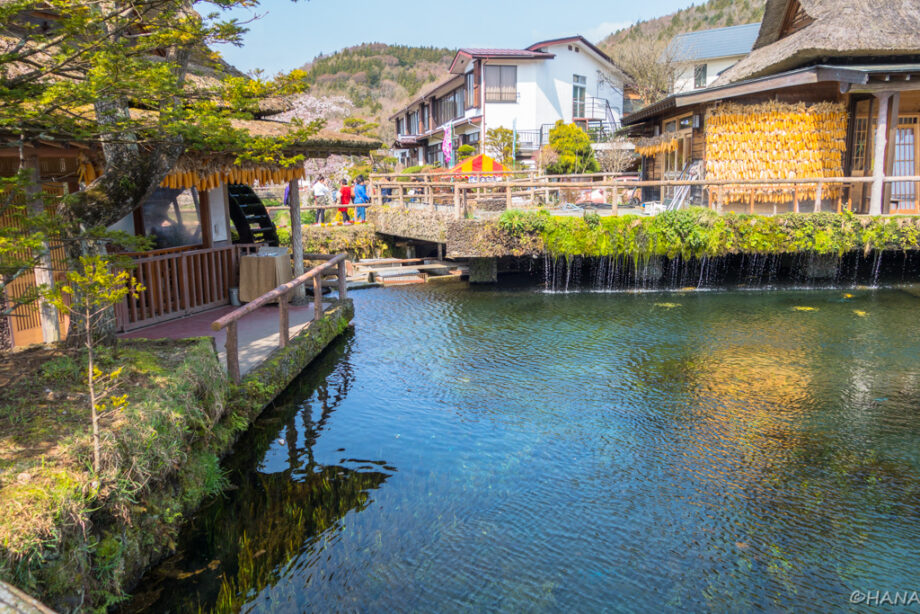 忍野八海のおすすめ季節は？ 回り方 アクセス 営業時間 桜の名所と富士山を満喫 ドライブ旅のみちしるべ