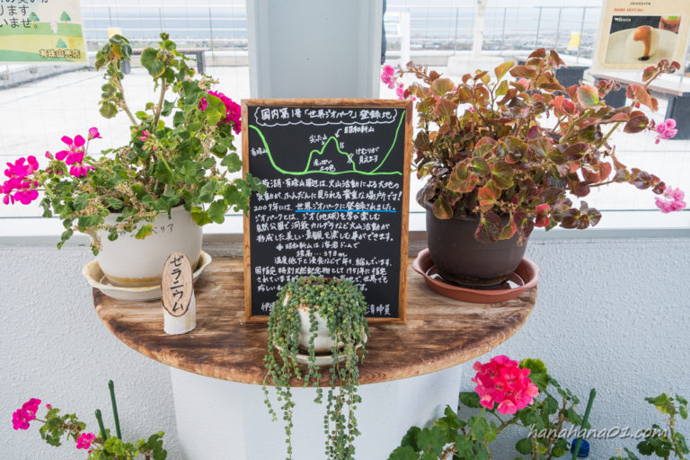 新千歳空港から函館までレンタカー 実際にかかった時間 料金を時系列レポ ドライブ旅のみちしるべ