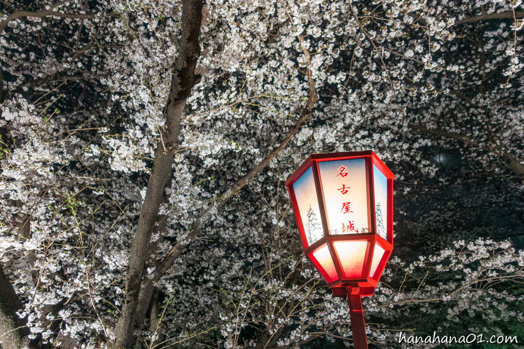 名古屋城年間パスホルダーがおすすめする写真撮影スポット14選